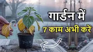 7 Urgent Winter Plant Tasks! (If You Don't Do Them This Week, Your Plant Will Be Damaged)