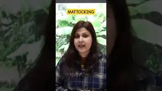 Mattocking || Horticulture|| Nishat Mam