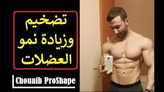 تعرف على أساسيات ضخامة ونمو العضلة (كمال الاجسام)