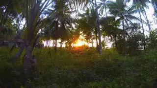 The surf and yoga ashram - Mulki, Karnataka