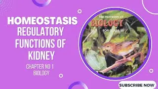 Regulatory functions of kidney | adaptation of kidney | effect of hormone