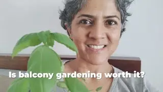 First harvest - 7 days of work over two months! #asmr
