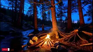 End Sleepless Nights | Campfire Flames & River Flow | Insomnia Relief