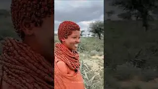 Tribals unique ritual of washing hair with cow urine