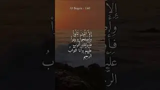 Calm Your Soul | Al-Baqara 160 #shorts #muslim #faith
