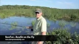 Bowfun- Lake Champlain Bowfin on the fly