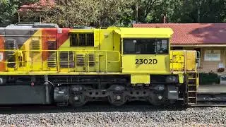 Aurizon 2302D 2305D 863M Coal train Spring Bluff