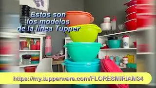 Video Servalier