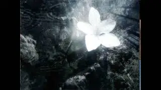 ♡ haunted - chris grey [slowed + reverb] ♡