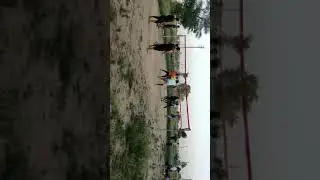 #chandpur vs machrauli