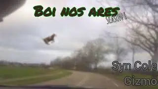 Syn Cole - Gizmo