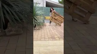 Palet Sofa 🛋 Respect 👏👑 furniture work 👍 #goodjob #shots #shorts #shortsvideo #amazing
