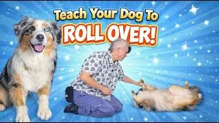 Roll Over - Dog Training Trick Tutorial