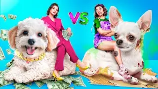 We Saved Tiny Dogs! Rich vs Broke Dogs