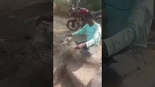 Ham log Jaal(fishing) karne a chukhe hai | Gaon ka Nadi(RIVER) me  Home river Fishing #fishing #1000