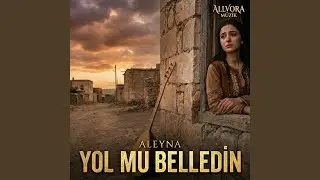 Yol Mu Belledin (feat. Aleyna)