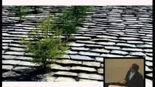 Шейн Коэн, &laquo;Контекст информирует форму&raquo;