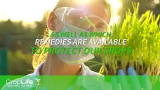 Basic Crop Protection Course