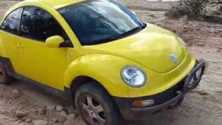 New Beetle-Moab