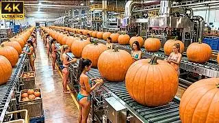 Inside a Modern Pumpkin Process: From Seedling to Supermarket Shelf