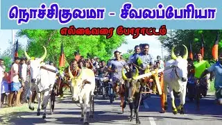பூச்சிட்டுமாடு தென்காசி(மா) பாப்பாக்குடி மாட்டுவண்டி பந்தயம் 29.05.2022#amuthamstudio#thenkasi#