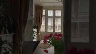 Amsterdam Luxury Apartment Next To Vondelpark