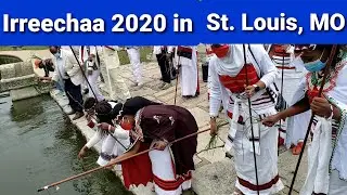 Oromo Thanksgiving day/Irreecha in Saint Louis.