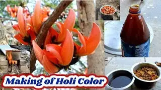 How to Make Holi Colors with MODUGU PULU(Butea monosperma)|Palash Flowers| VU Creations