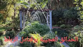 الحدائق العجيبة بوقنادل jardin exotique rabat #jardin_exotique_bouknadel#