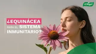 Echinaforce&reg; Forte para la funci&oacute;n adecuada del sistema inmunitario