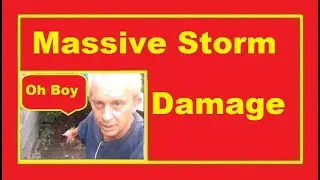 60 MPH Winds Storm Damage Assessment While Off Grid Living In A Tiny House