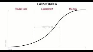 The S Curve of Learning