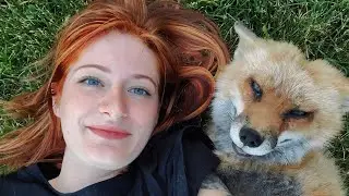 Farewell Finnegan Fox