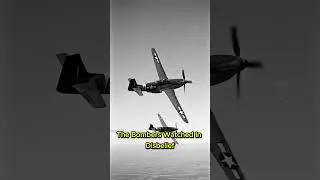 One Pilot vs 30 Fighters