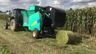 デントコーンロール作成