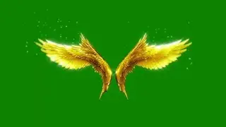 green screen wings effect Video | green screen angel wings effect | VFX Boy Bankura