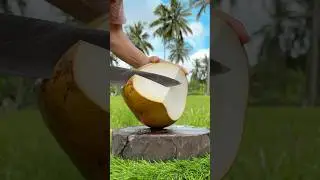 Satisfying Thick-Shell Coconut