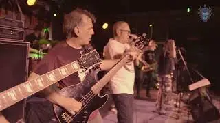 ELLOS DICEN MIERDA BANDA BASSOTTI CDMX PRODUCCIONES GORILLA