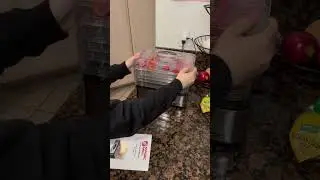Demo and tutorial of this magic mill dehydrator! #amazonreview #amazoninfluencer