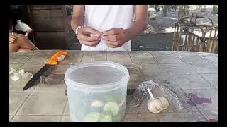 Pickling Cucumber Of Food Preservation