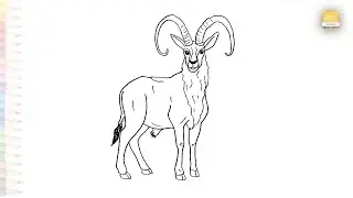 Ibex goat drawings easy | How to draw Wild goat step by step | #artjanag