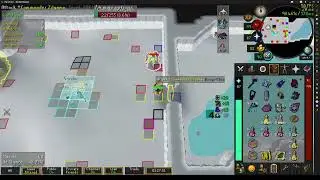 OSRS Commander Zilyana Bowfa Barrage Minion Setup Example 2