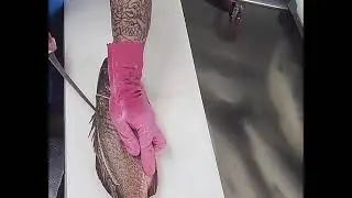 ASMR How to Cut Different Fishes Fillets ? Fast Workers wow 🙀👍🥰💕🤩 #youtube #ytshorts #viral
