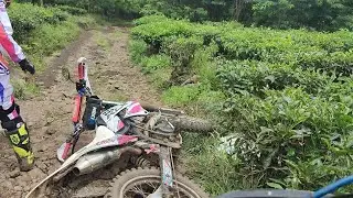 Kebun teh wonosari