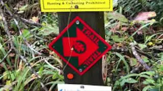Northern Alabama Day-Hiker's Delight | Cane Creek Canyon Preserve