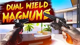 dual wielding magnums are nutty