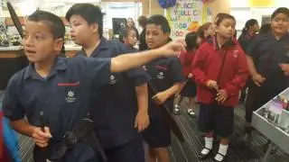 Matariki at Mt Roskill Library with Auckland Museum