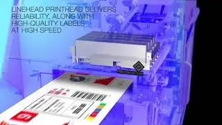 Epson ColorWorks C7500G high speed high and print quality