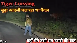 Tiger crossing पर वो बूढ़ा आदमी चल रहा था पैदल | मैंने उसी रात उससे वहीं बात की 🐅#sariska #tiger 