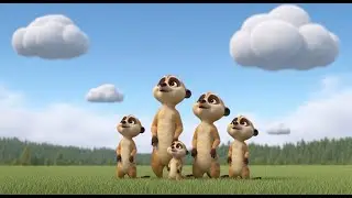 Blue Sky Safari
